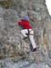 03-via delle guide