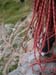 10-via delle guide